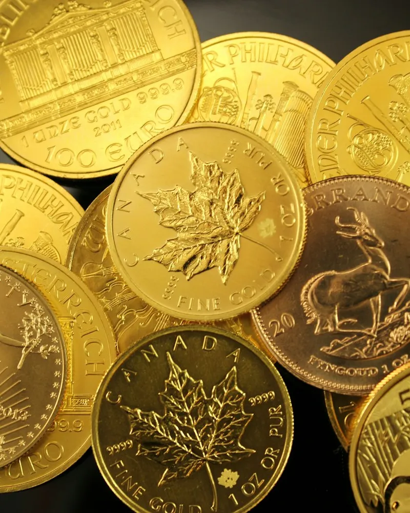 A spread of gold bullion coins
